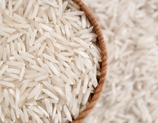 عرضه برنج ایرانی درجه یک 