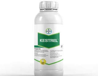 سفارش سم Kestrel برای محافظت از سلامت محصول گندم