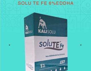 کود کلات آهن ۶% K+S آلمان (SOLU TE FE 6%EDDHA)