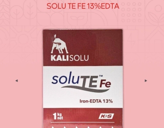 کود کلات آهن 13% K+S آلمان (SOLU TE FE 13%EDTA)